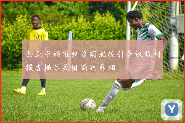 西亚卡姆准绝杀前犯规引争议裁判报告揭示关键漏判真相