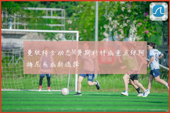 曼联转会动态M费斯科特成重点琼阿梅尼或成新选择