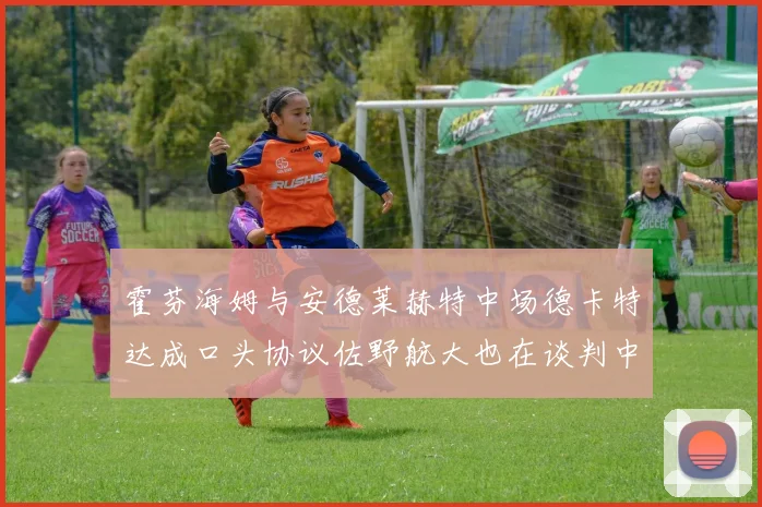 霍芬海姆与安德莱赫特中场德卡特达成口头协议佐野航大也在谈判中